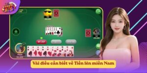 Vài điều cần biết về Tiến lên miền Nam