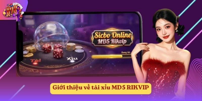Giới thiệu về tài xỉu MD5 RIKVIP Giới thiệu về tài xỉu MD5 RIKVIP