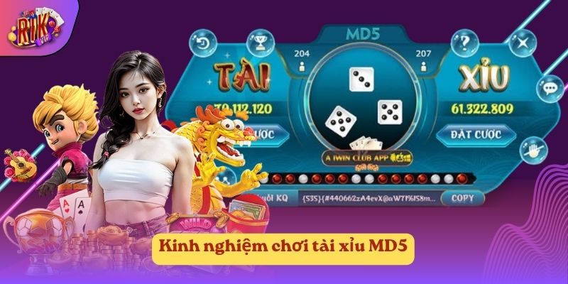 Kinh nghiệm chơi tài xỉu MD5 Kinh nghiệm chơi tài xỉu MD5