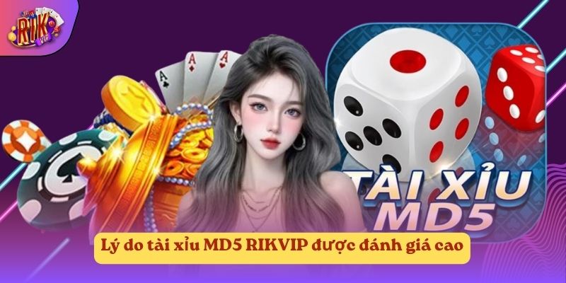 Lý do tài xỉu MD5 RIKVIP được đánh giá cao Lý do tài xỉu MD5 RIKVIP được đánh giá cao